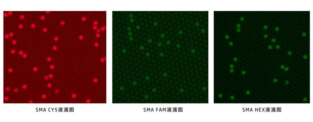 喜讯  博瑞生物两款数字PCR试剂盒获批上市！
